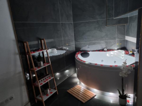 Jolie maison Sauna, Balneo lumino thérapie et Terrasse, Colmar